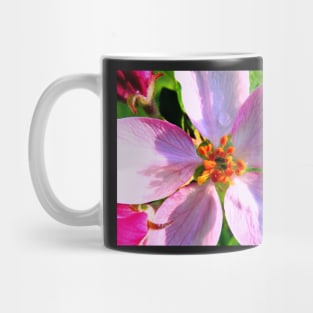 Crabapple Blossoms Photo Print Mug